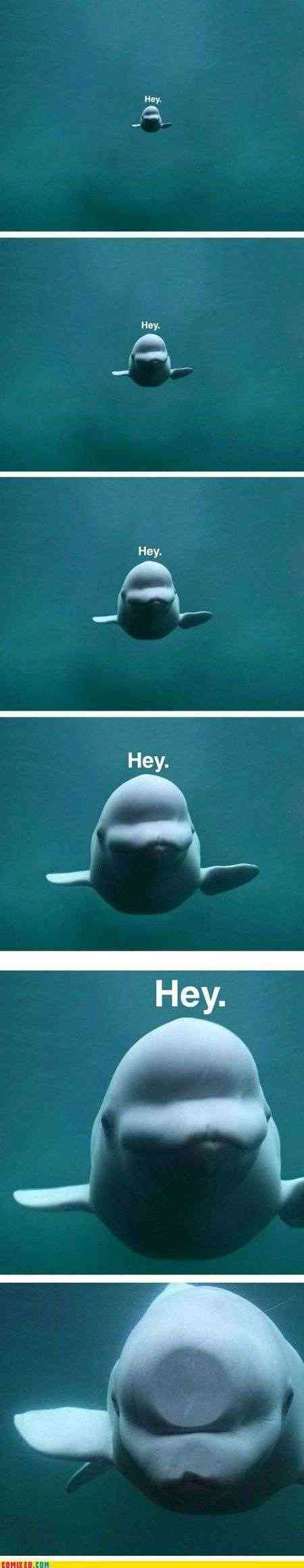 ガルちゃん水族館♪
