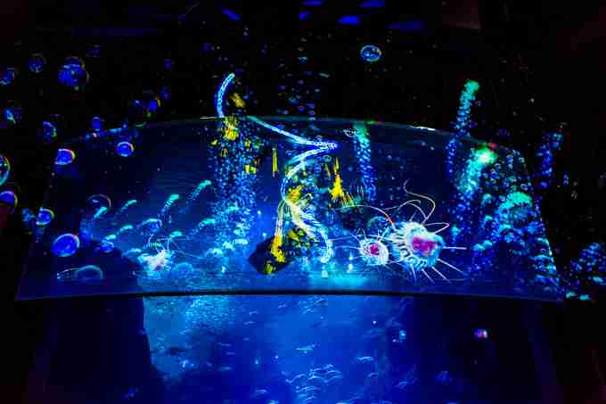 ガルちゃん水族館♪