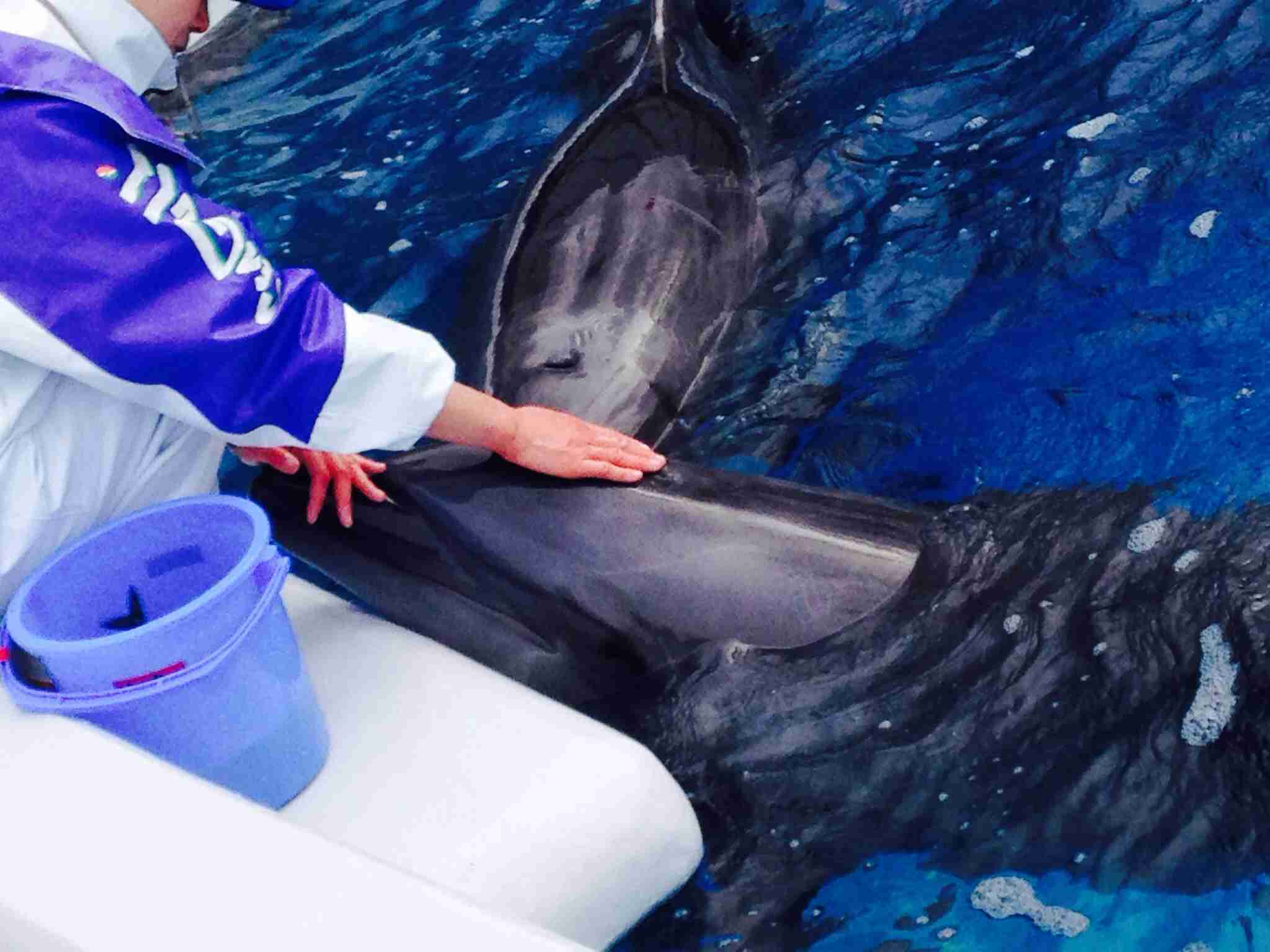 ガルちゃん水族館♪