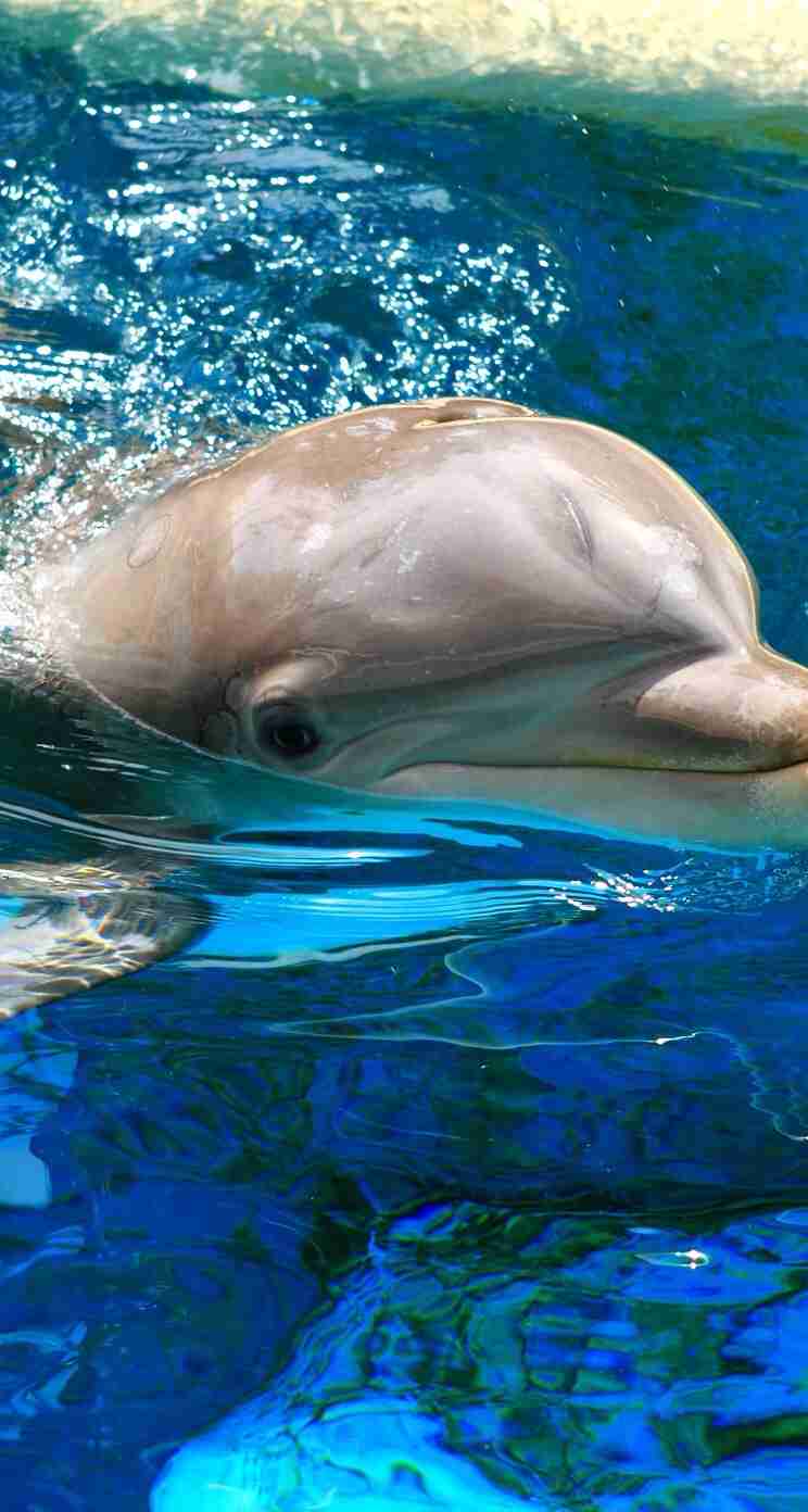 ガルちゃん水族館♪