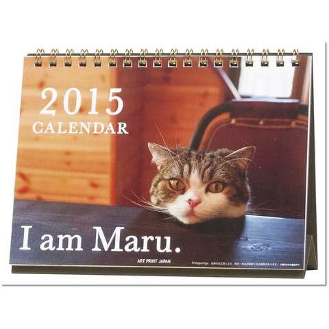 気持ちが明るくなりそうな来年のカレンダー！