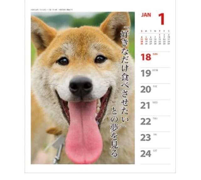 気持ちが明るくなりそうな来年のカレンダー！