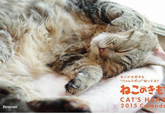 気持ちが明るくなりそうな来年のカレンダー！