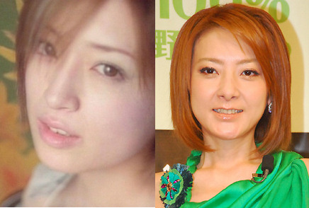 そっくりさんと思う芸能人大会