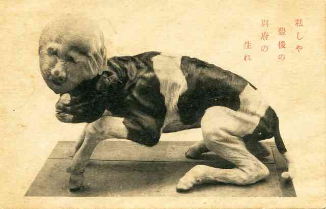 【閲覧注意】妖怪の紹介をしよう