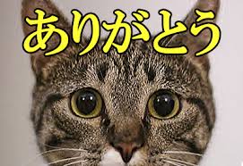 普段楽しませてもらってるガルちゃんのみなさんに愛のある一言♪