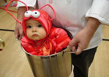 【年またぎ】見ると幸せな気分になれる画像を下さい！