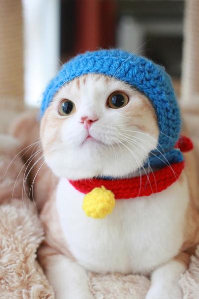 【年またぎ】見ると幸せな気分になれる画像を下さい！