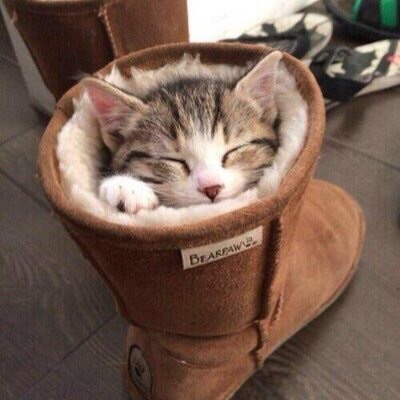 【年またぎ】見ると幸せな気分になれる画像を下さい！