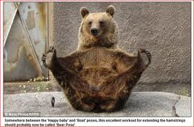 【年またぎ】見ると幸せな気分になれる画像を下さい！