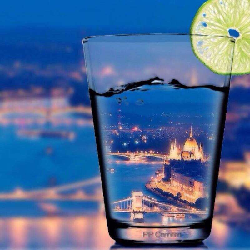 【年またぎ】見ると幸せな気分になれる画像を下さい！