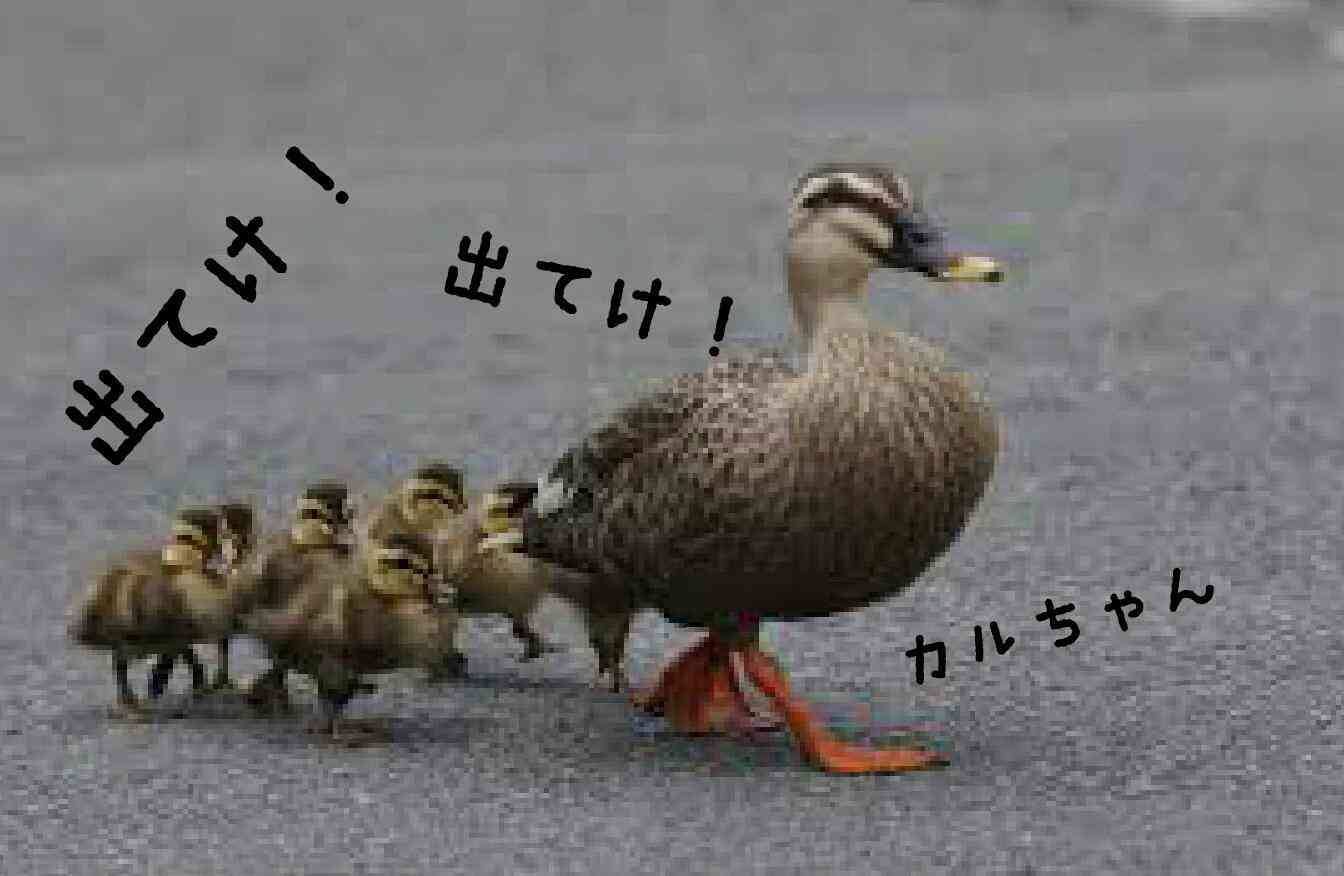 ガルちゃん民プロフィール帳を作ろう！