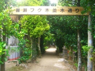 沖縄のオススメスポット！