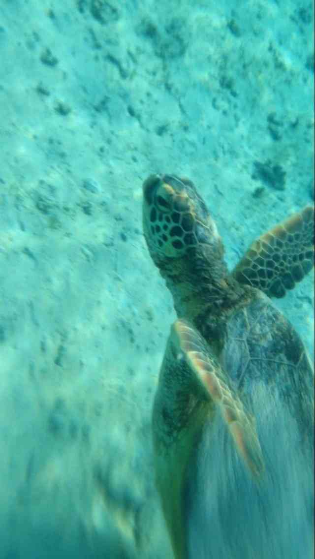 沖縄のオススメスポット！