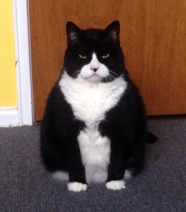 見下す感じの有名人画像トピ