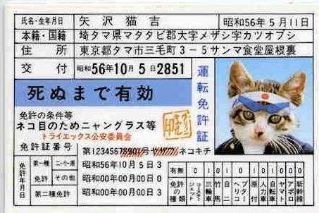 今では考えられない【昭和時代の常識】ランキング