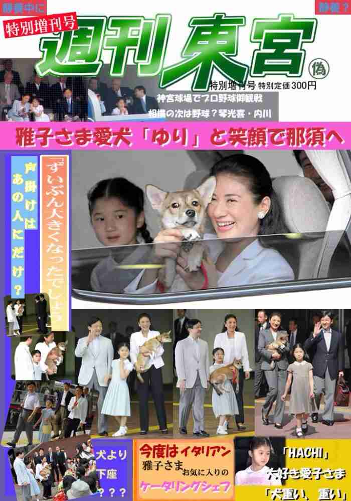 皇太子妃雅子さま病状の東宮職医師団発表がほぼ「コピペ」で波紋