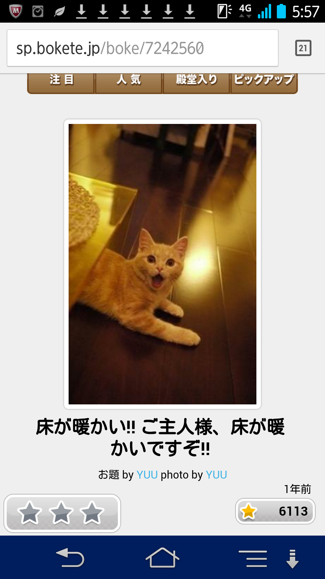 【画像】ホットカーペットがあったかいことに気付いた顔が可愛いｗ