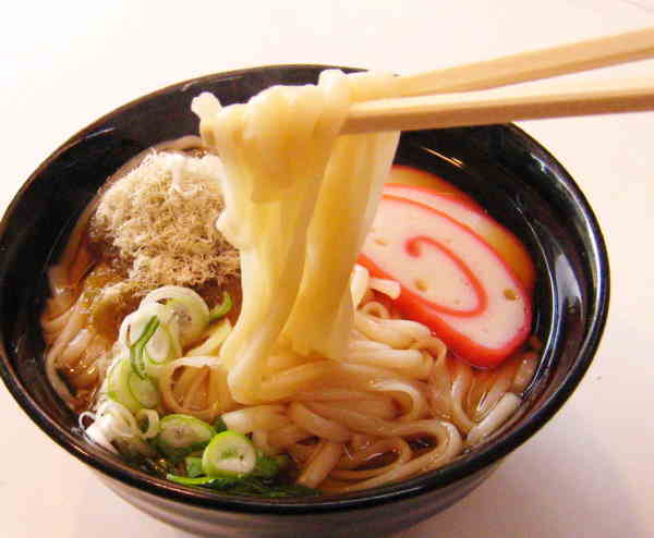 うどん美味しいトッピング