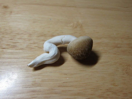 ちょっとだけ使いたい野菜どうしてますか?