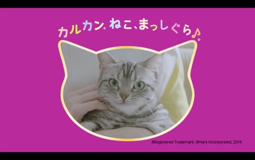 感動したCM