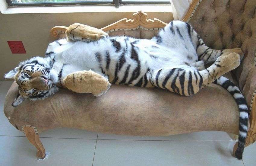 ガルちゃんで知って驚いたこと