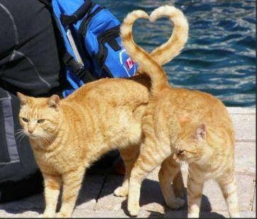 最近きゅんとした事を語るトピ。