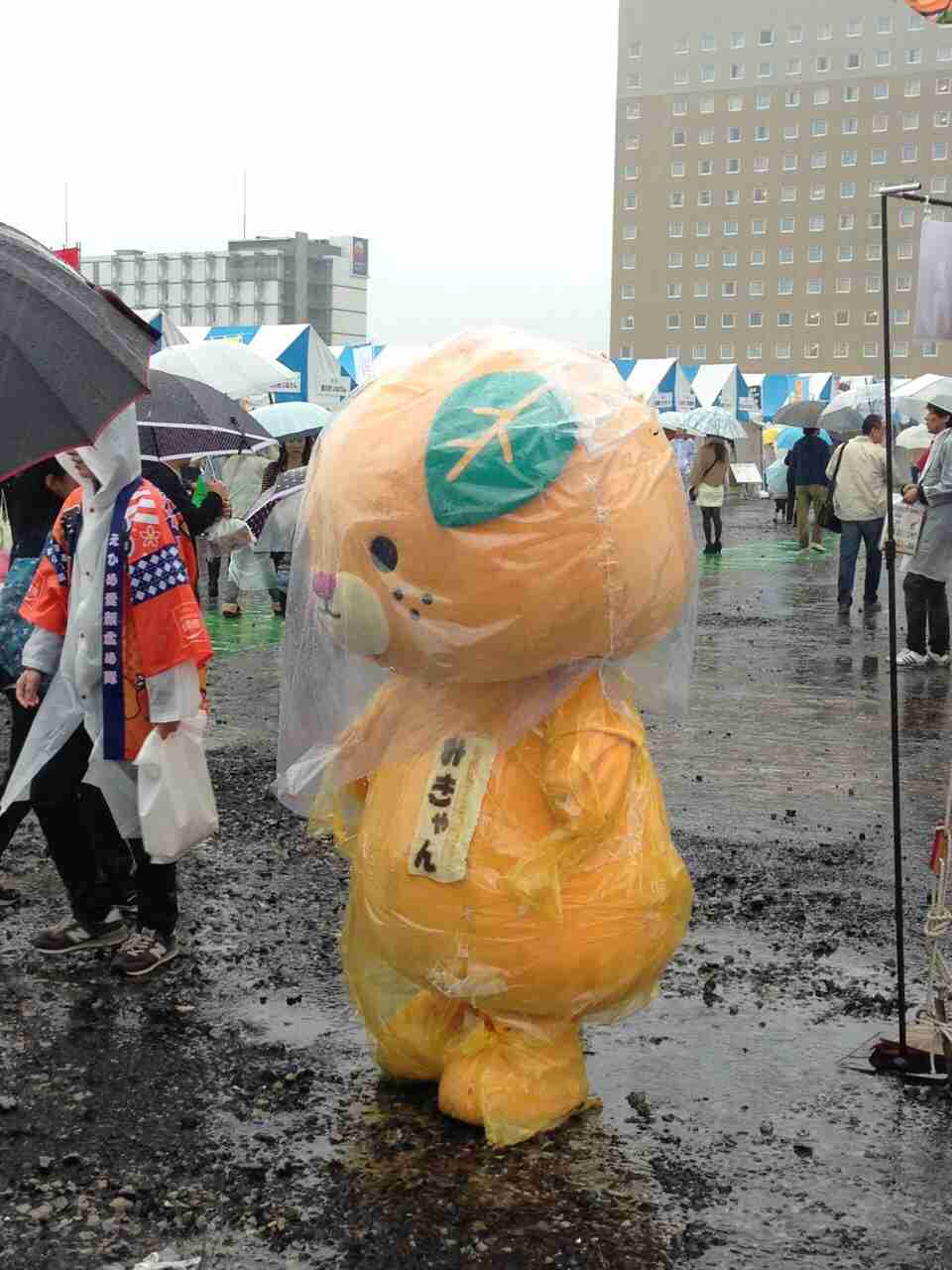 知ってるものに＋、知らないものに－するトピ part2