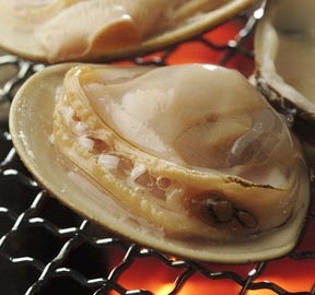 美味そうなお酒やおつまみの画像を貼るトピ