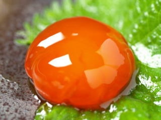 美味そうなお酒やおつまみの画像を貼るトピ