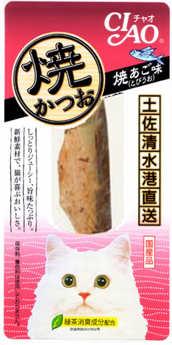 亡きペットへ伝えたいこと。