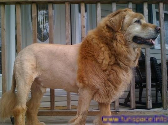 【閲覧注意？】珍しい生き物を貼るトピ