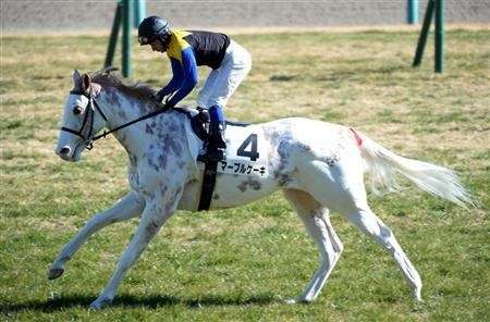 【閲覧注意？】珍しい生き物を貼るトピ