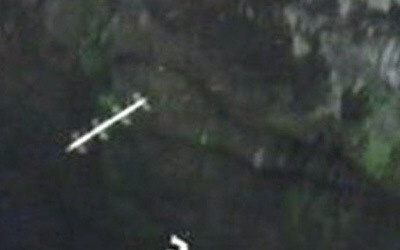 【閲覧注意？】珍しい生き物を貼るトピ