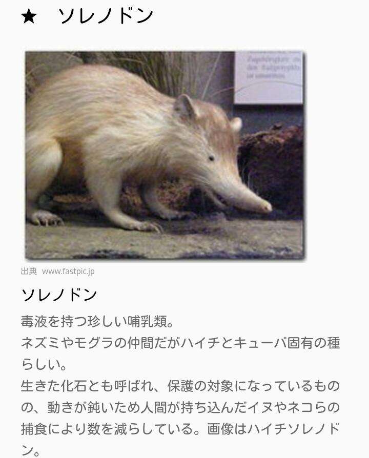 【閲覧注意？】珍しい生き物を貼るトピ