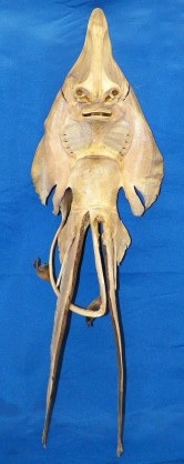 【閲覧注意？】珍しい生き物を貼るトピ