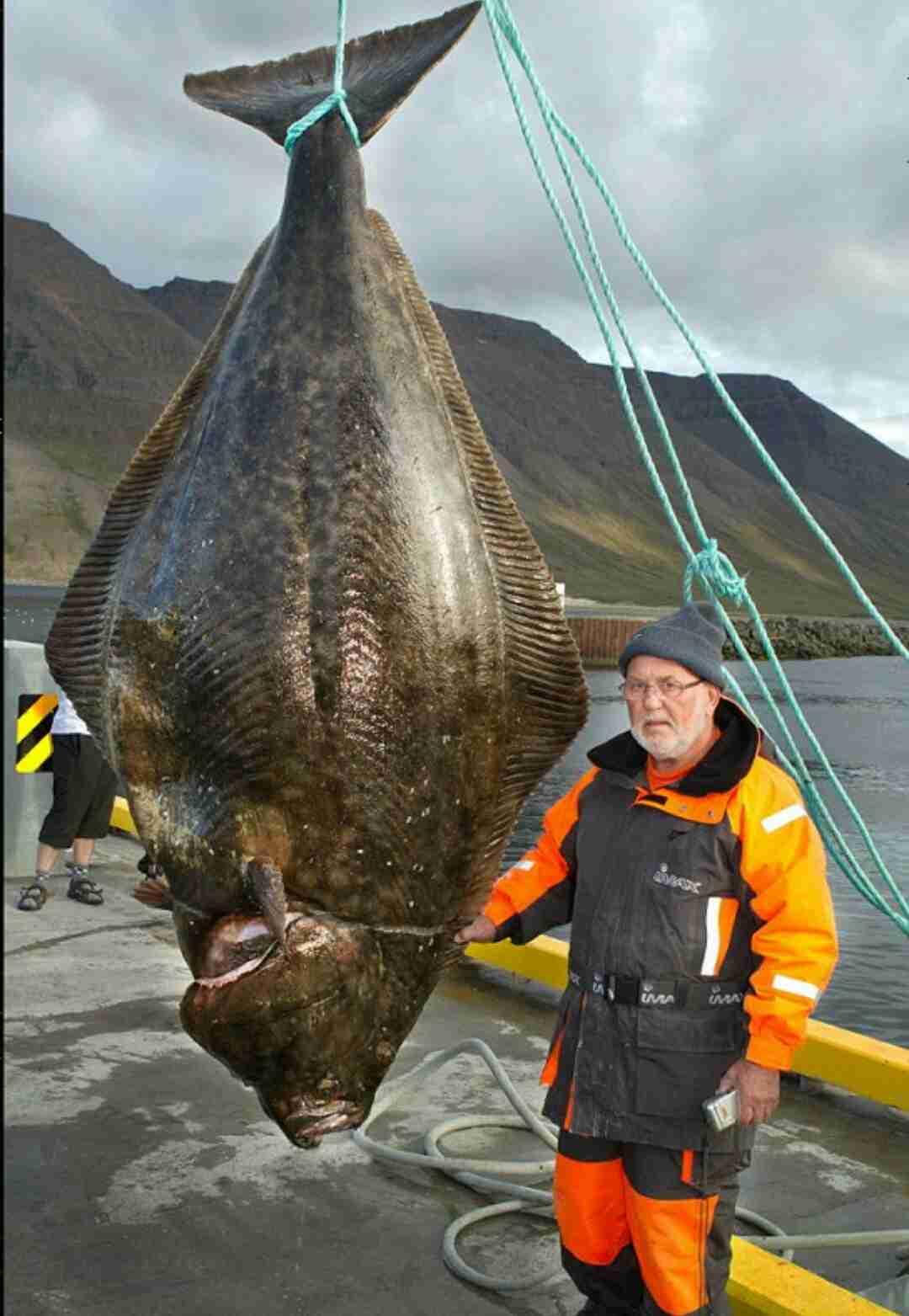 【閲覧注意？】珍しい生き物を貼るトピ