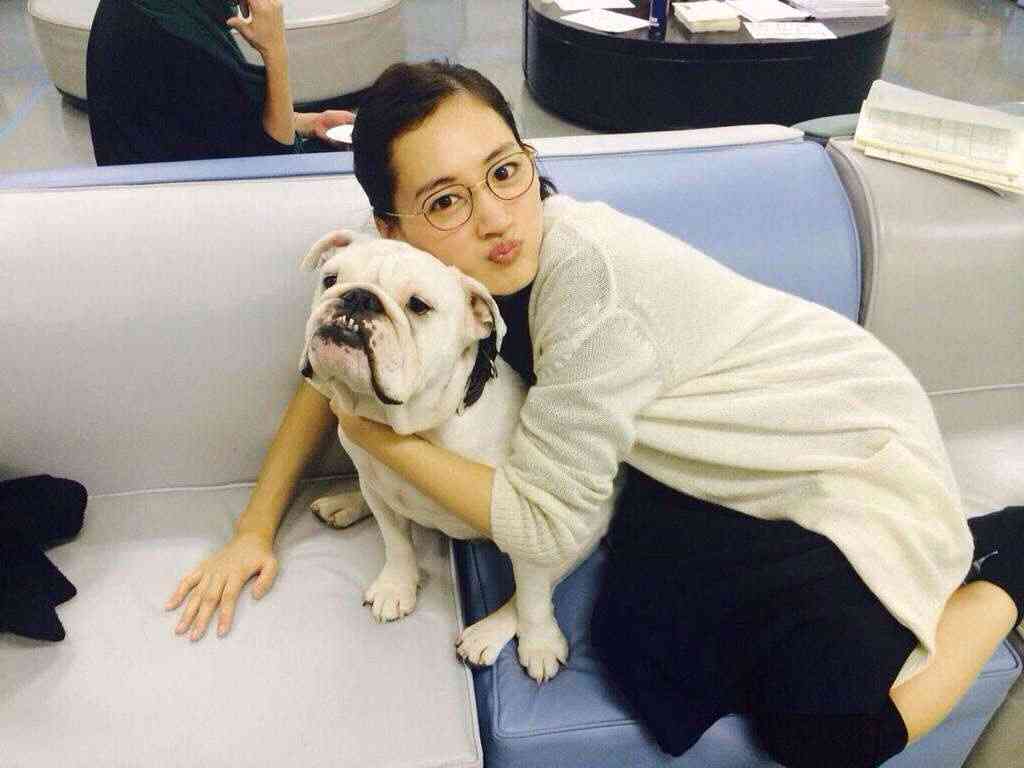 好きな犬の種類