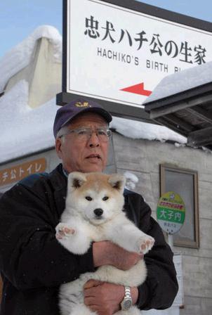 好きな犬の種類