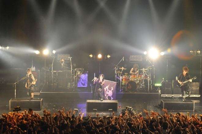 今年、ライブやコンサートに行きましたか?