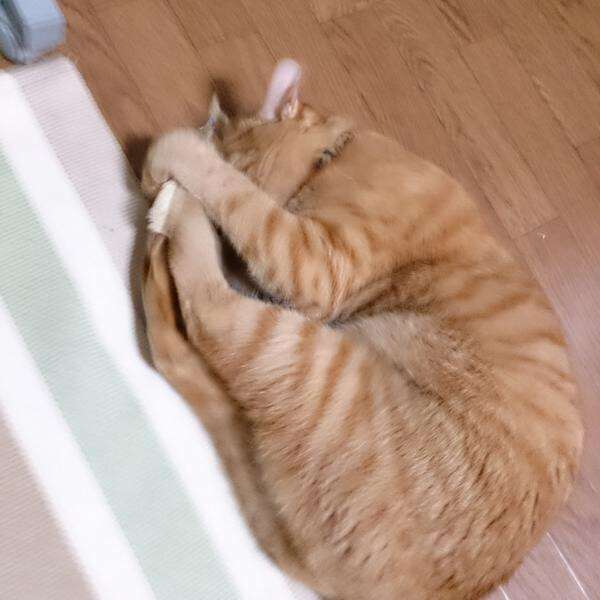 他人にバカにされて見返した人
