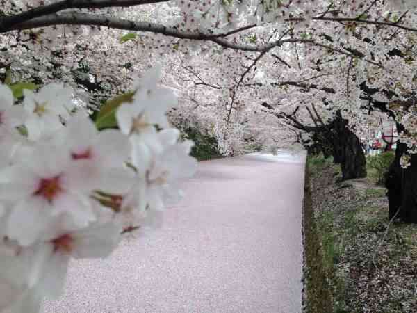 日本に住んでて良かったこと