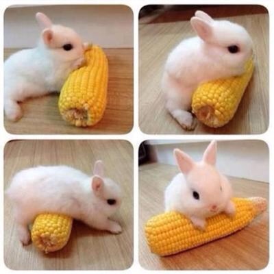 思わず保存した画像