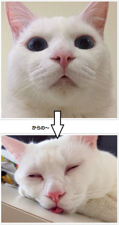 思わず保存した画像