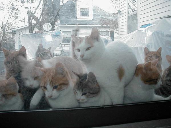 思わず保存した画像