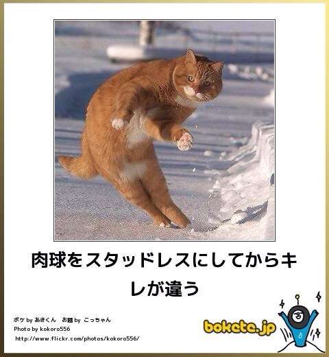 思わず保存した画像