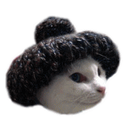 思わず保存した画像