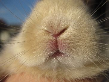 思わず保存した画像