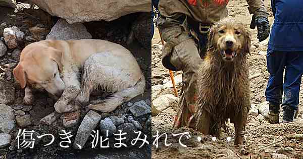 思わず保存した画像