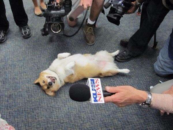 思わず保存した画像